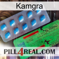 Kamgra new03